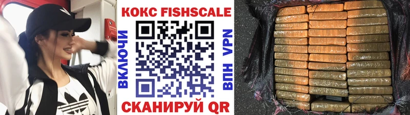 Cocaine Fish Scale  блэк спрут ТОР  Артёмовский 
