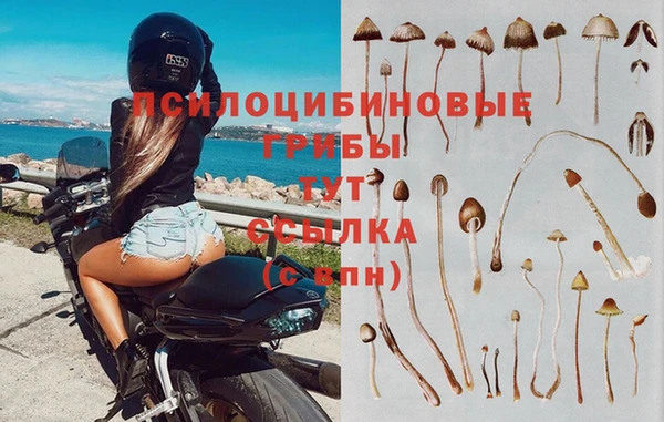 герыч Армянск