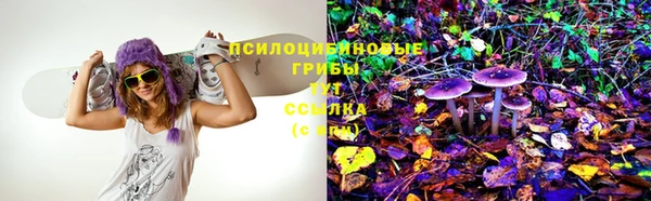 герыч Аркадак