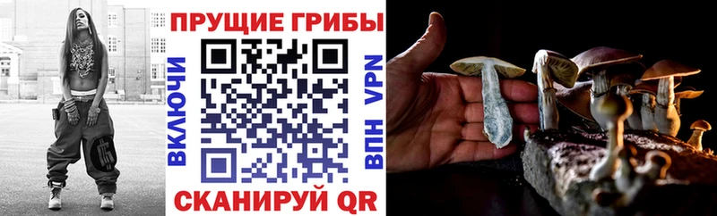 Псилоцибиновые грибы прущие грибы  hydra рабочий сайт  Артёмовский 